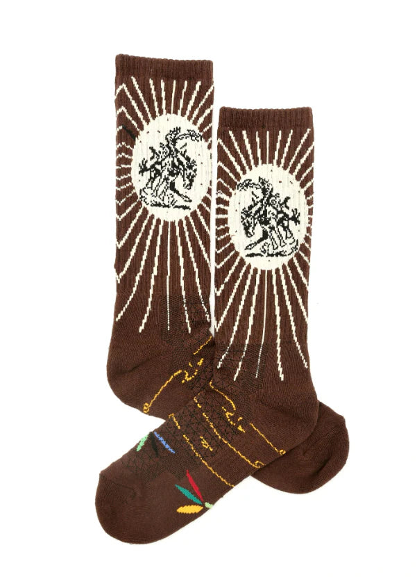 Lucky Chuck Socks