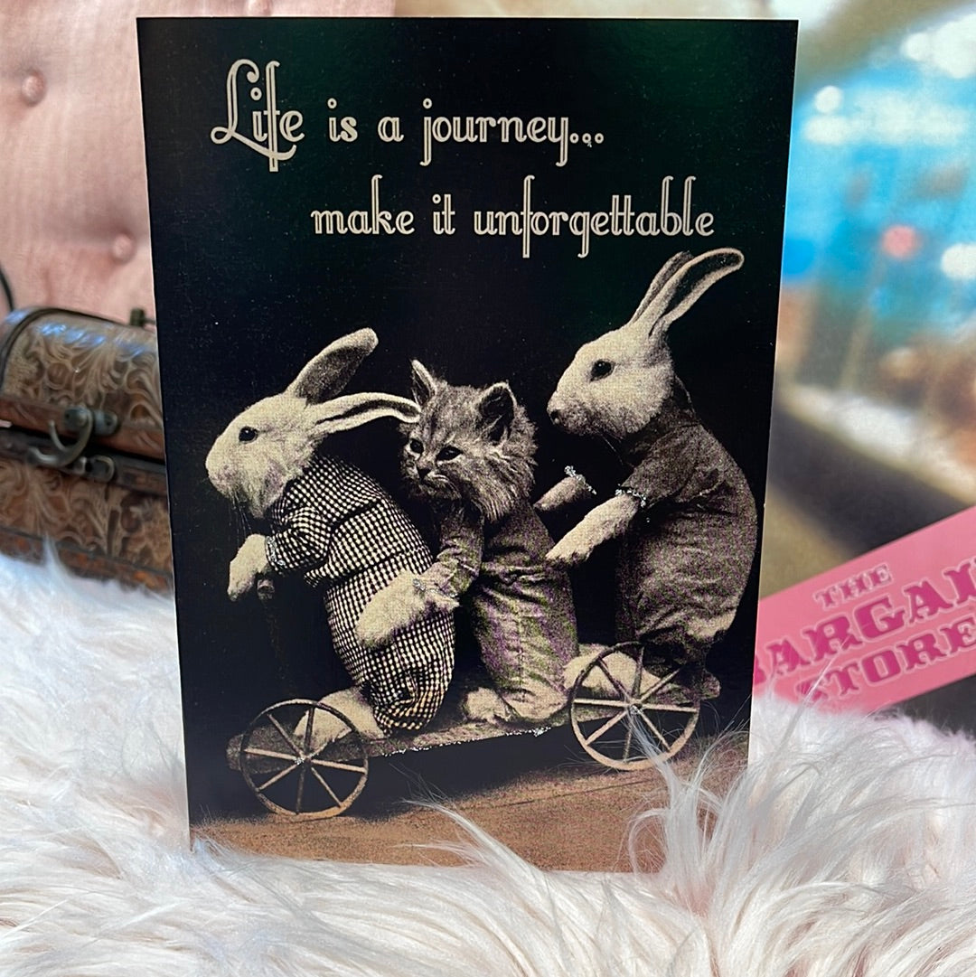 Greeting Cards
