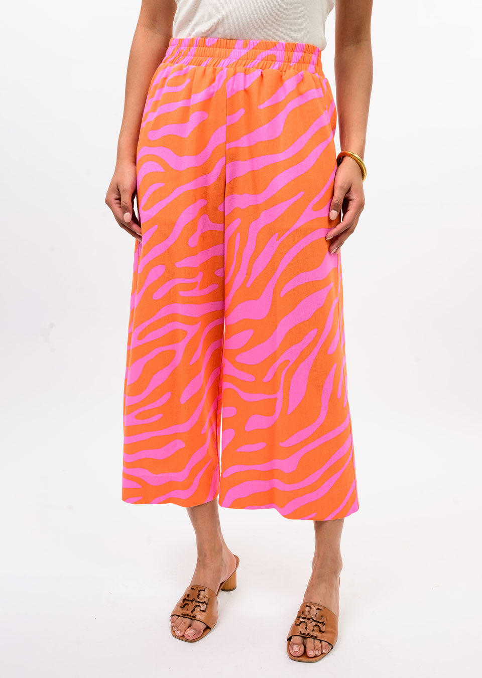 Tropical Zebra Set