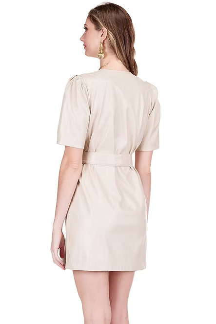 The Shelly V-Neck Dress