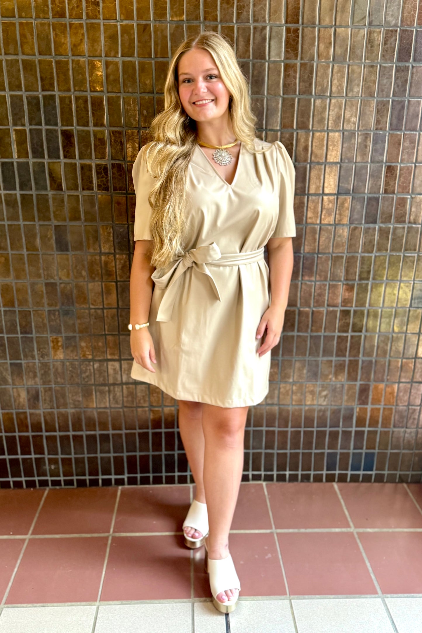 The Shelly V-Neck Dress