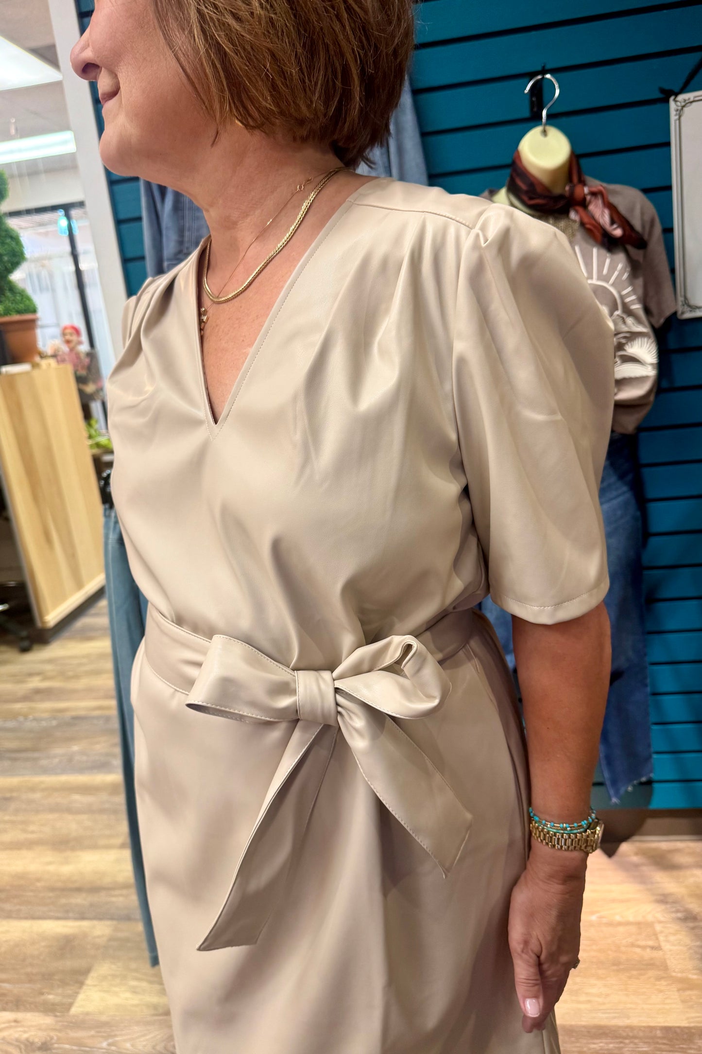 The Shelly V-Neck Dress