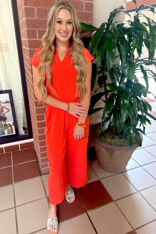 Casual to Cocktail Pull-On Pants- Ivy Jane