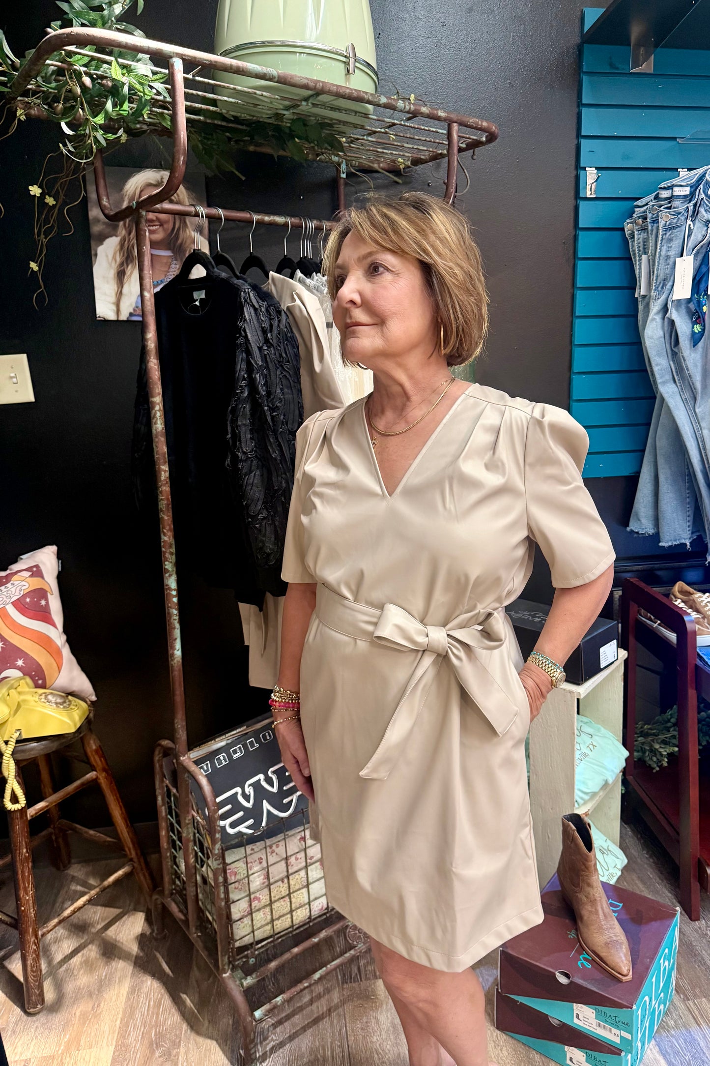 The Shelly V-Neck Dress