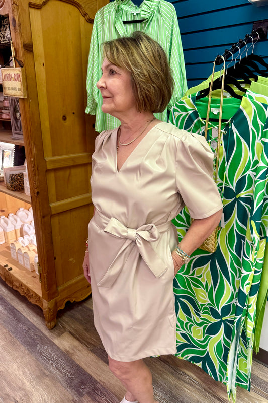 The Shelly V-Neck Dress