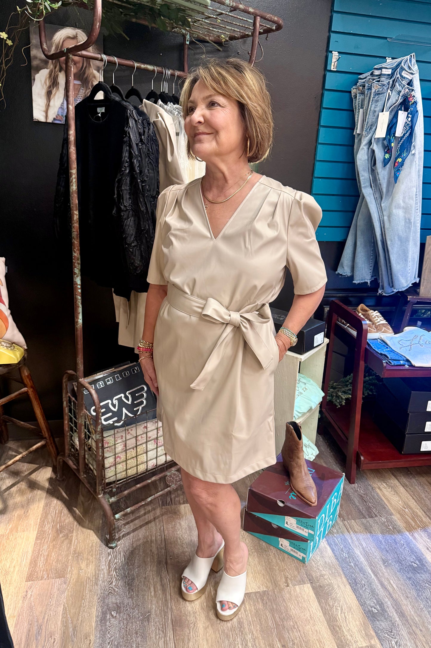 The Shelly V-Neck Dress