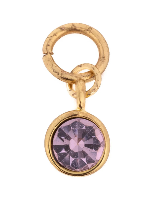 Michelle McDowell Birthstone Charm