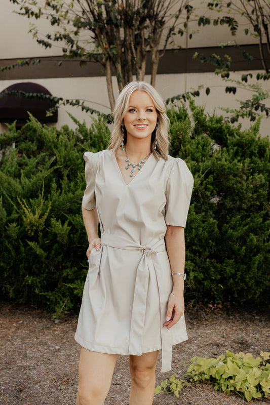 The Shelly V-Neck Dress